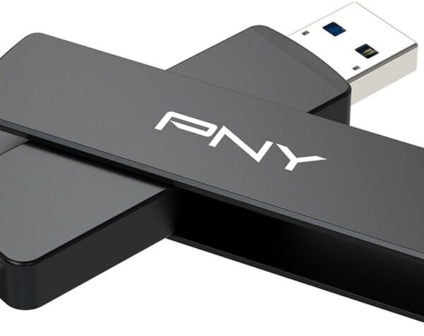 PNY 256GB Duo Link V3 USB 3.2 Gen 2 Type-C & Type-A OTG Flash Drive Extreme Speeds Read/Write 1000/800MB/s External Mobile Storage Compatible with Smartphone/Tablet/Laptops/Desktops