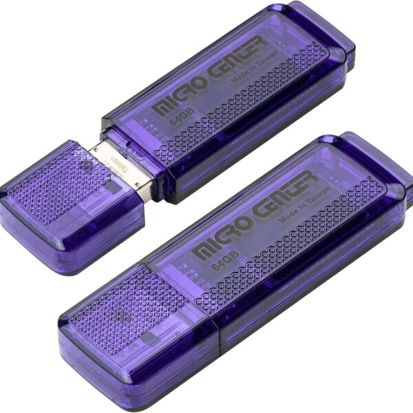 INLAND Micro Center Super Speed 64GB 2-Pack Ultra Flash Drive USB 3.0/USB 3.1 Gen1 Memory Stick with Keychain Thumb Drive Photo Stick Jump Drive